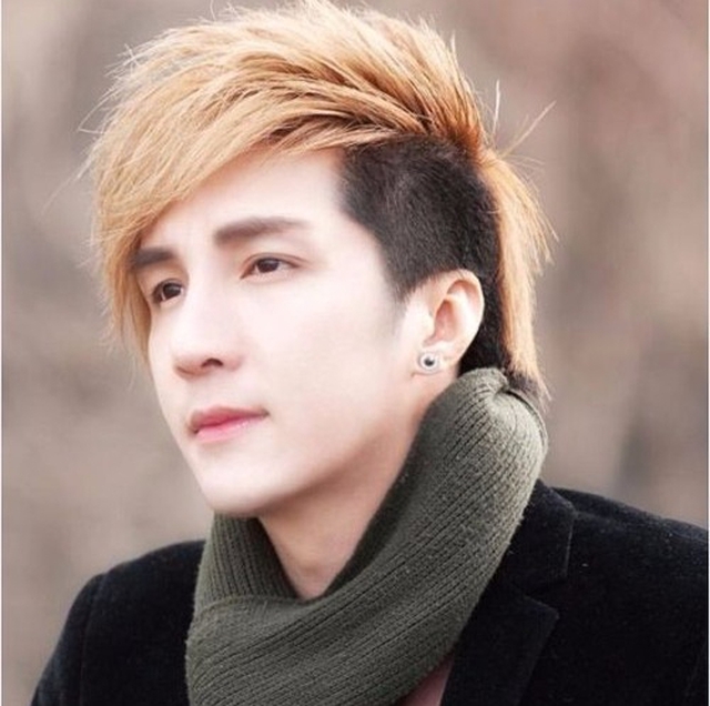 Lâm Chấn Khang thời trẻ