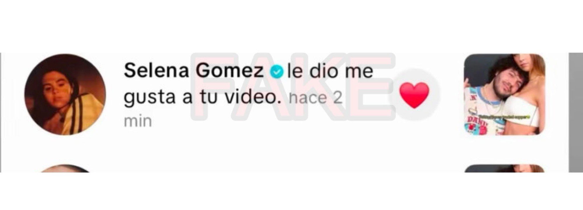 Selena Gomez xấu tính thế này sao?- Ảnh 2. Fan cho rằng ảnh chụp màn hình là giả mạo