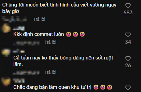 Thiếu gia Viết Vương