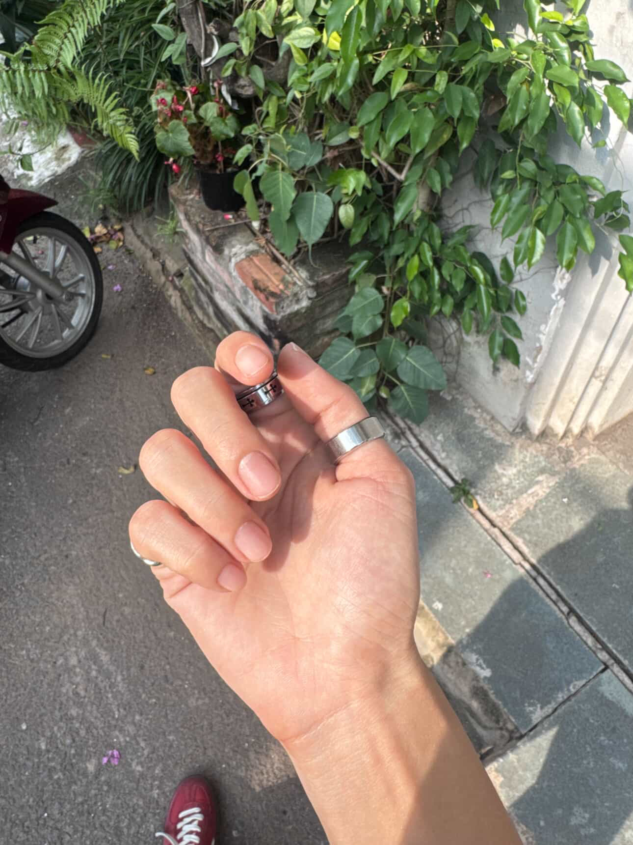 Cận cảnh chiếc nhẫn và vòng đeo tay trong bức ảnh