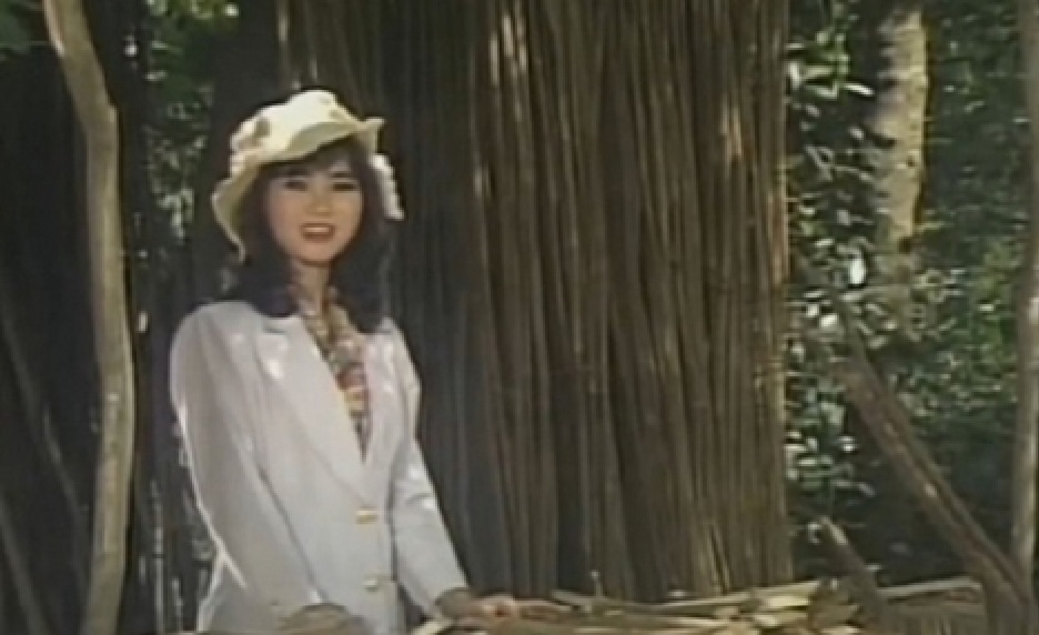 Nữ ca sĩ đi diễn miền Tây bị sập cả hàng rào- Ảnh 4. Thùy Trang thời trẻ