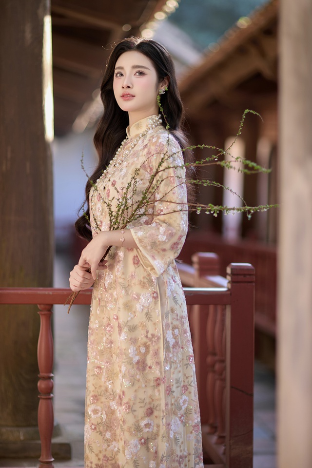 Đinh Hoài An hoạt động người mẫu ảnh