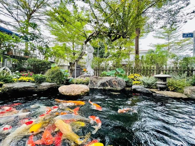 Hồ cá koi và chòi nghỉ